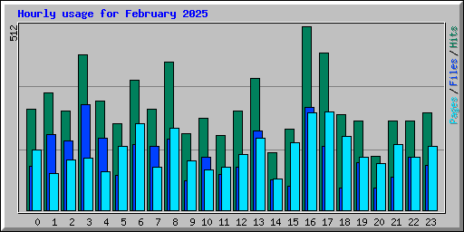 Hourly usage for February 2025