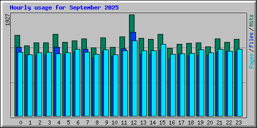 Hourly usage for September 2025