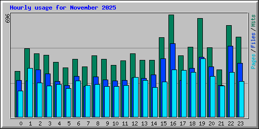 Hourly usage for November 2025