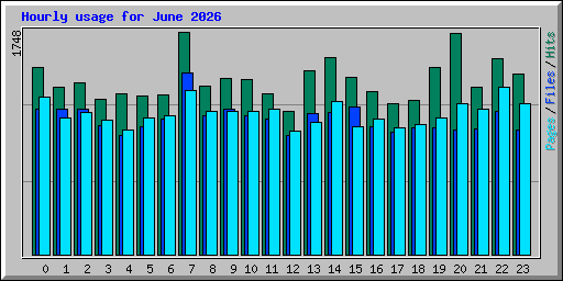 Hourly usage for June 2026
