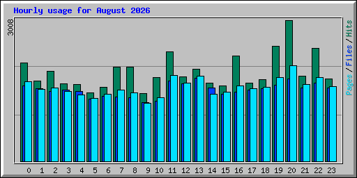 Hourly usage for August 2026